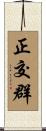 正交群 Scroll