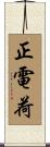 正電荷 Scroll