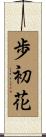 歩初花 Scroll