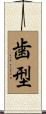 歯型 Scroll