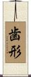 歯形 Scroll