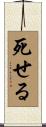 死せる Scroll