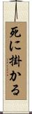 死に掛かる Scroll