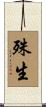 殊生 Scroll