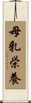 母乳栄養 Scroll