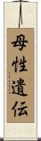 母性遺伝 Scroll