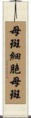 母斑細胞母斑 Scroll