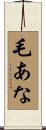 毛あな Scroll