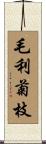 毛利菊枝 Scroll