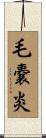 毛嚢炎 Scroll
