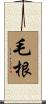 毛根 Scroll