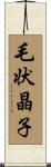 毛状晶子 Scroll