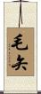 毛矢 Scroll