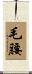 毛腰 Scroll