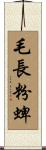 毛長粉蜱 Scroll