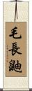 毛長鼬 Scroll