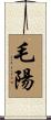 毛陽 Scroll