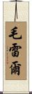Maurer Scroll