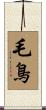 毛鳥 Scroll