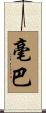 毫巴 Scroll