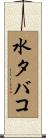 水タバコ Scroll