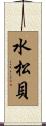 水松貝 Scroll