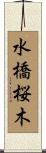 水橋桜木 Scroll