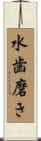 水歯磨き Scroll