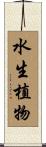 水生植物 Scroll