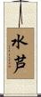 水芦 Scroll