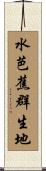 水芭蕉群生地 Scroll