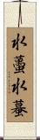 水蠆 Scroll