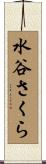 水谷さくら Scroll