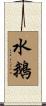 水鵝 Scroll