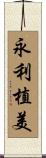 永利植美 Scroll