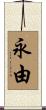 永由 Scroll
