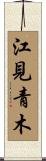 江見青木 Scroll