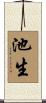 池生 Scroll