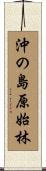 沖の島原始林 Scroll