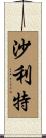 Shalit Scroll