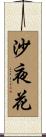 沙夜花 Scroll