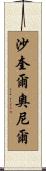 沙奎爾·奧尼爾 Scroll
