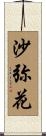 沙弥花 Scroll