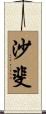 沙斐 Scroll