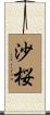 沙桜 Scroll