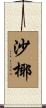 沙椰 Scroll