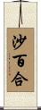 沙百合 Scroll