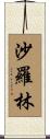 沙羅林 Scroll