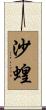 沙蝗 Scroll