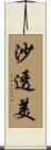 沙透美 Scroll